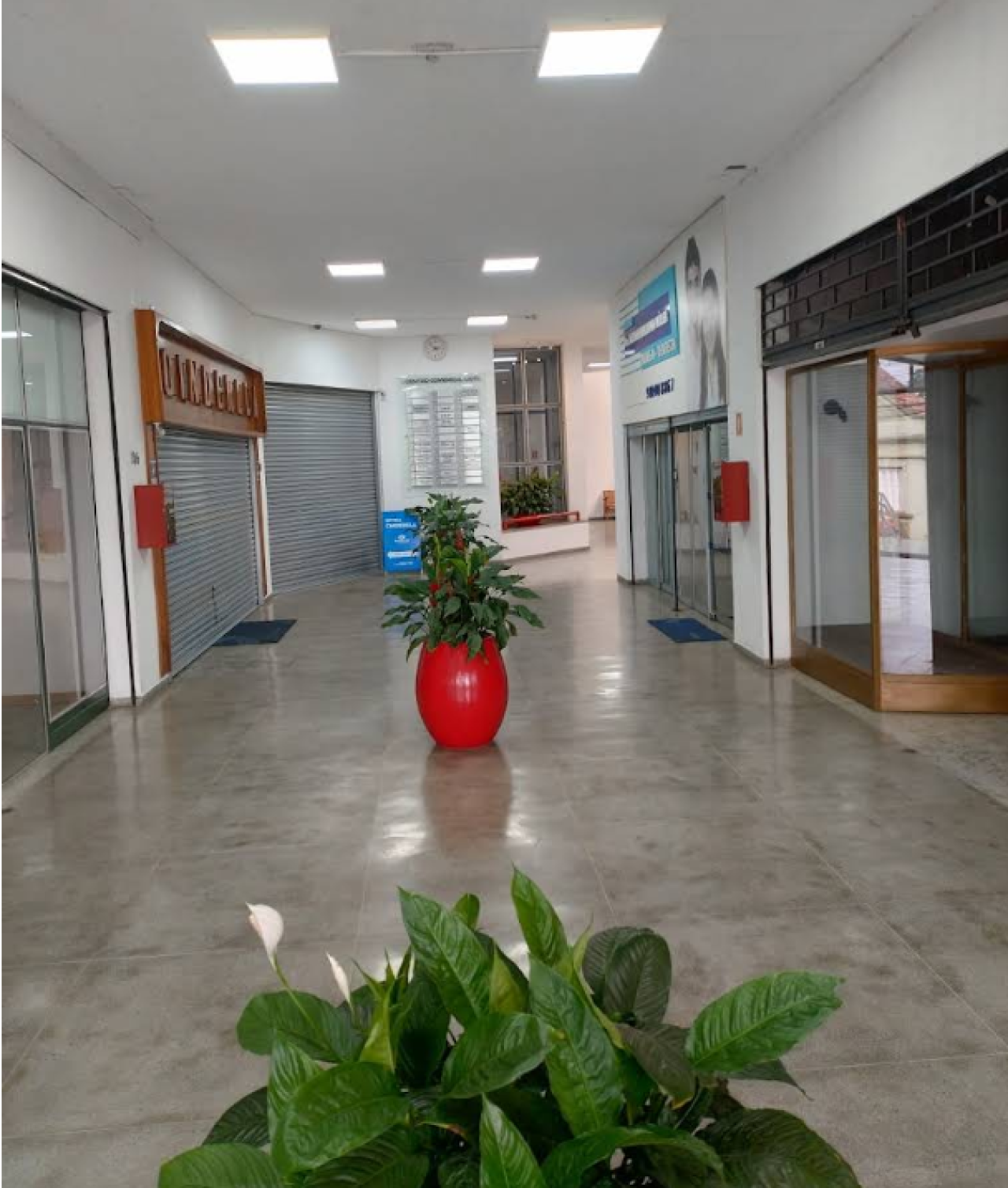 Imóvel Comercial (Loja 216) de 72,47m² em Ivoti/RS — foto 4