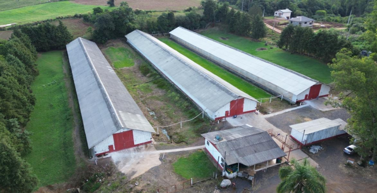 Imóvel (17.000 M2) Dentro de Uma Área Maior de 37.037,22m² com Galpões Aviários em Montenegro/RS — foto 2