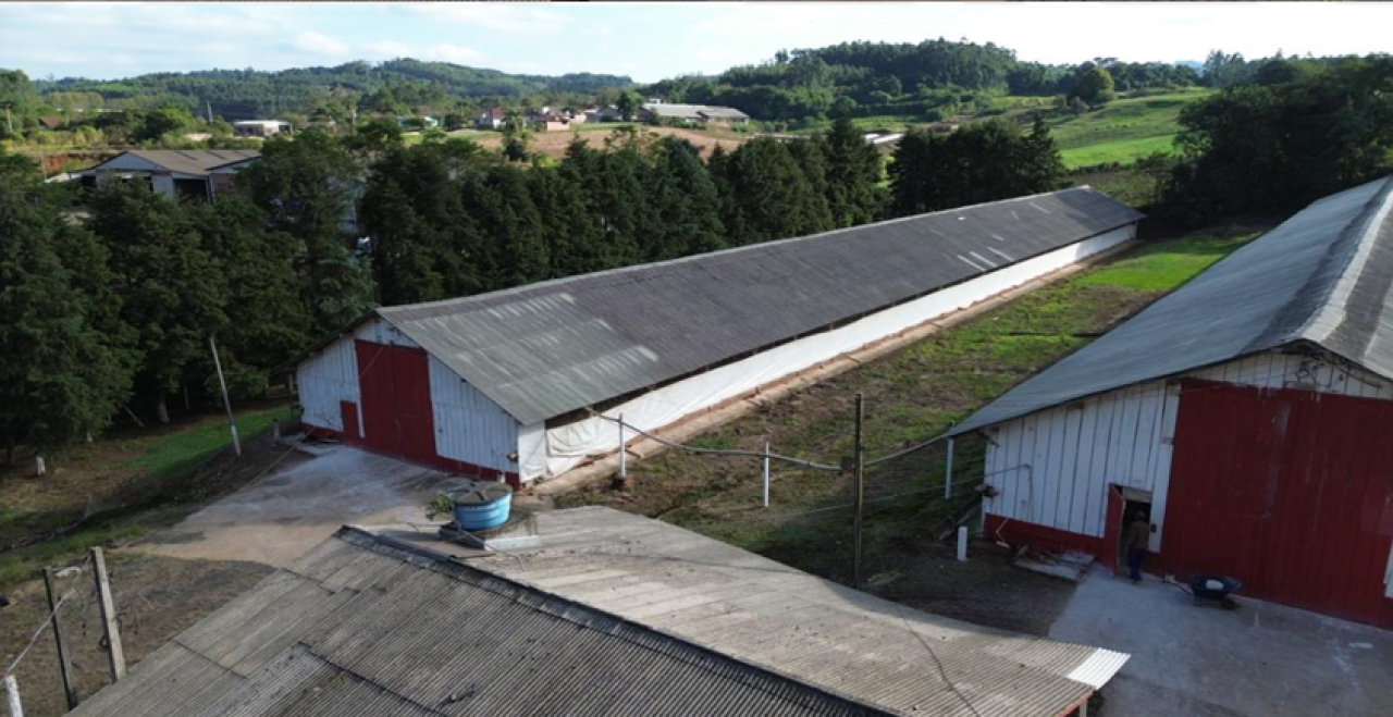 Imóvel (17.000 M2) Dentro de Uma Área Maior de 37.037,22m² com Galpões Aviários em Montenegro/RS — foto 3
