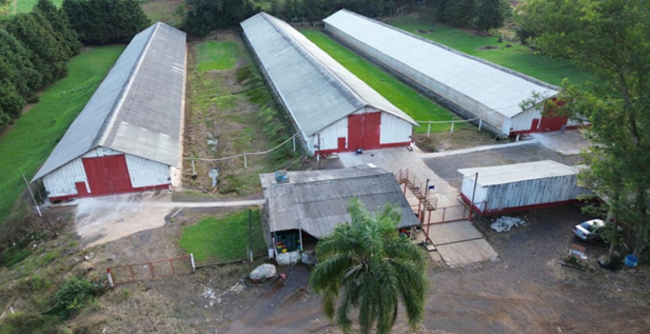 Imóvel (17.000 M2) Dentro de Uma Área Maior de 37.037,22m² com Galpões Aviários em Montenegro/RS — foto 5