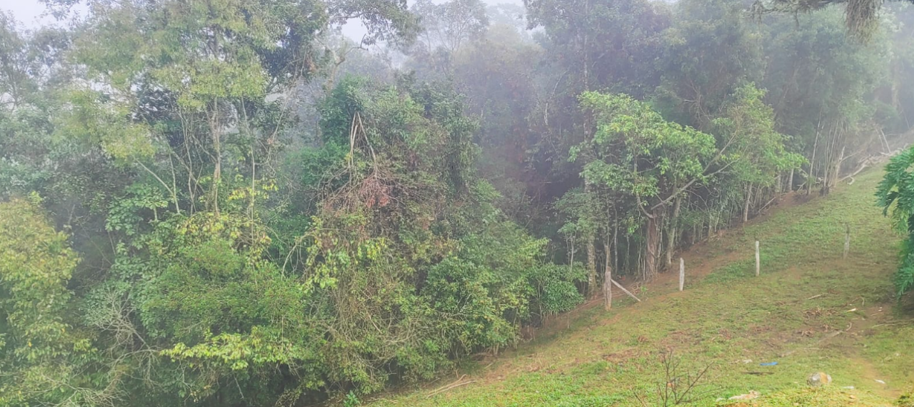 Terreno Rural com Área de 25.319,00m² e com Construções Nao Averbadas em Petrolandia — foto 2