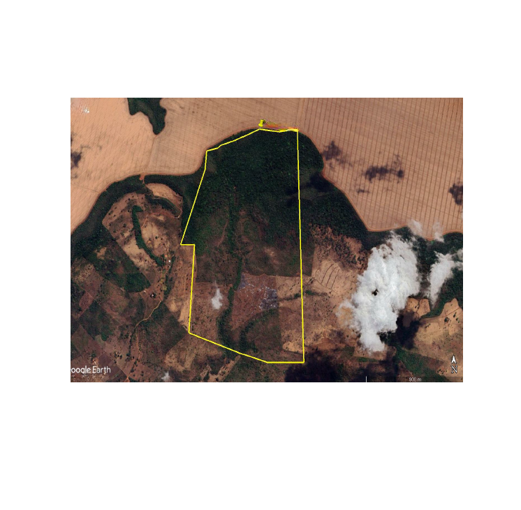 Fazenda com 167,022 ha - Zona Rural — foto 2