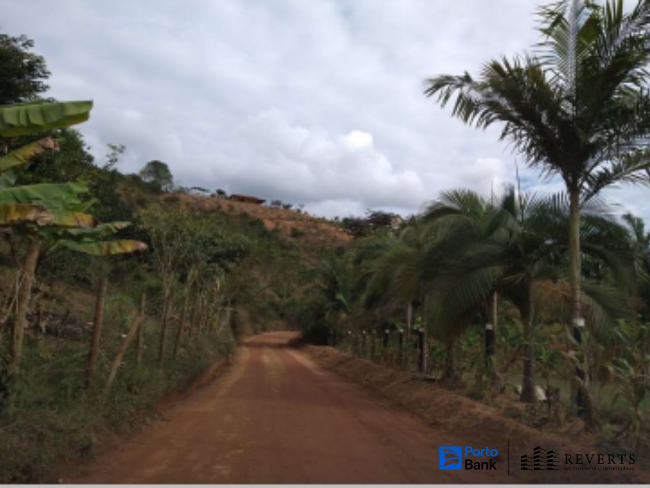 Terreno Rural com 10ha - Melgacinho — foto 2