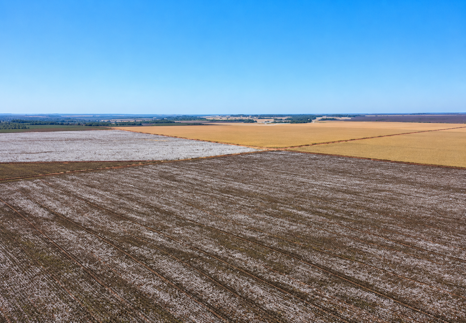 Área Rural com 150ha - Fazenda Novo Horizonte - (02) — foto 5