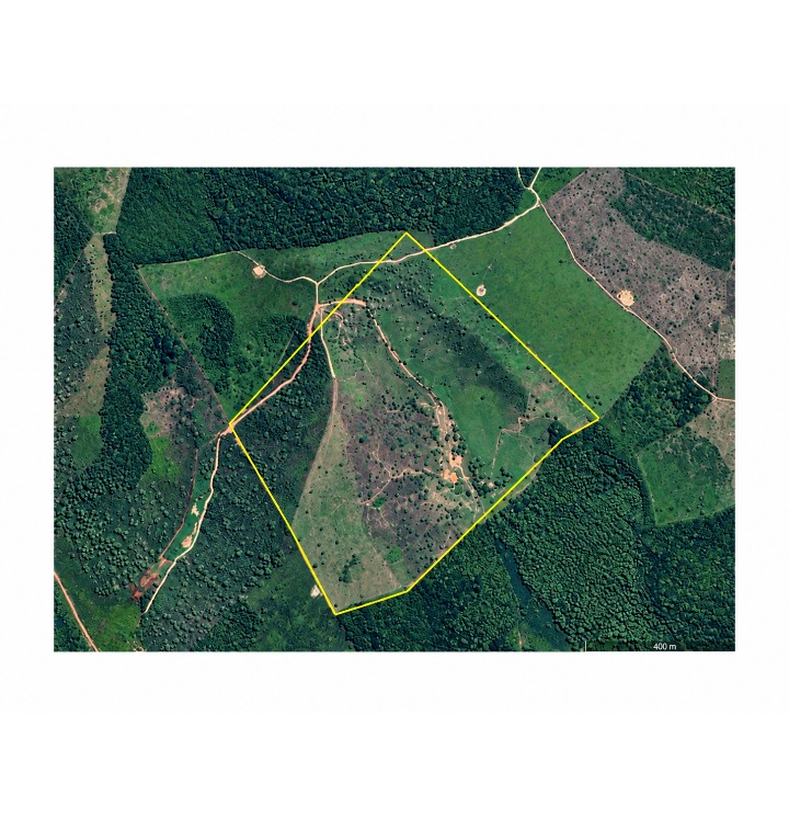 Fazenda com 42,0489ha - Zona Rural — foto 2