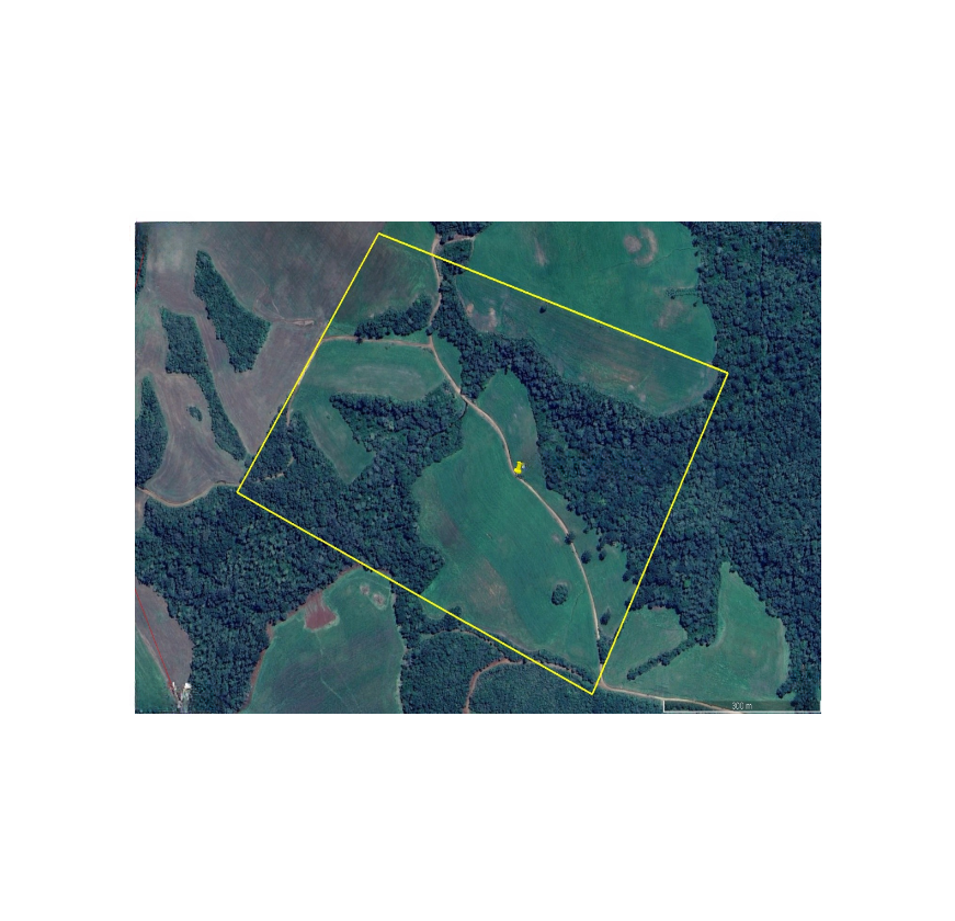Fazenda com 381.150,00 m² - Zona Rural — foto 2