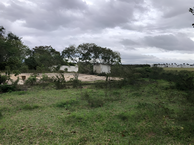 Terreno com 24.627,21 m² - Parque São Cristovão — foto 3