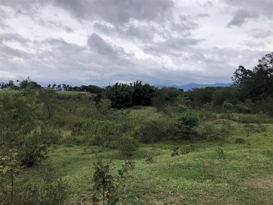 Terreno com 24.627,21 m² - Parque São Cristovão — foto 4