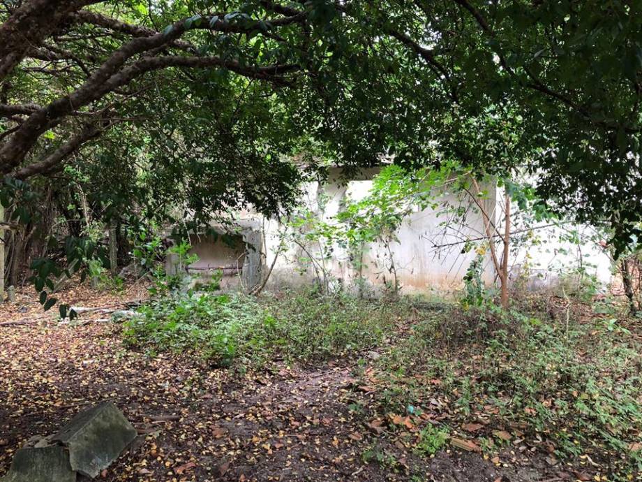 Terreno com 24.627,21 m² - Parque São Cristovão — foto 5