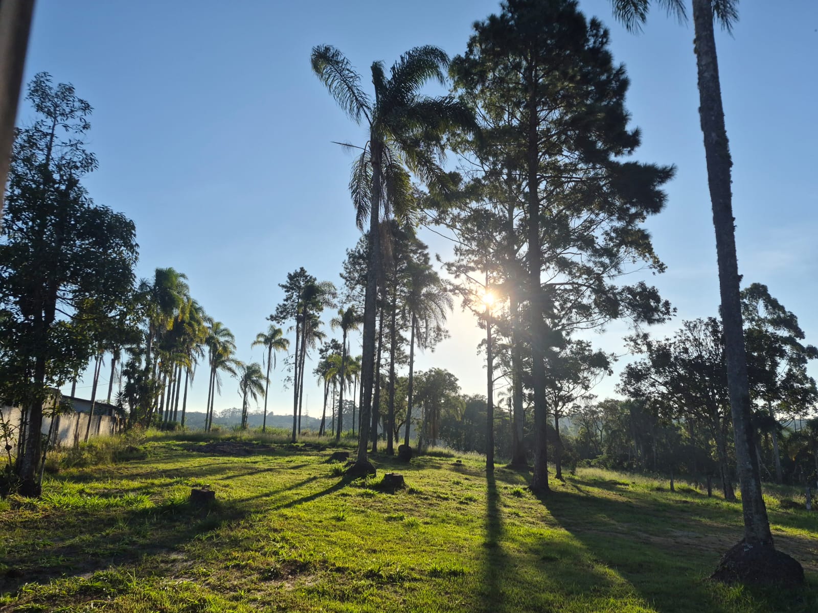 Clube de campo com área de 130.612,09m² - Biritiba Ussú — foto 4
