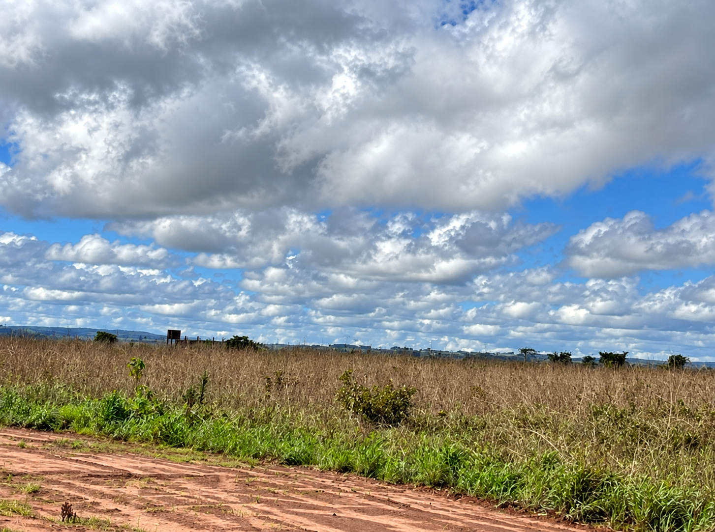Área rural com 843,061ha - Zona rural - (02)