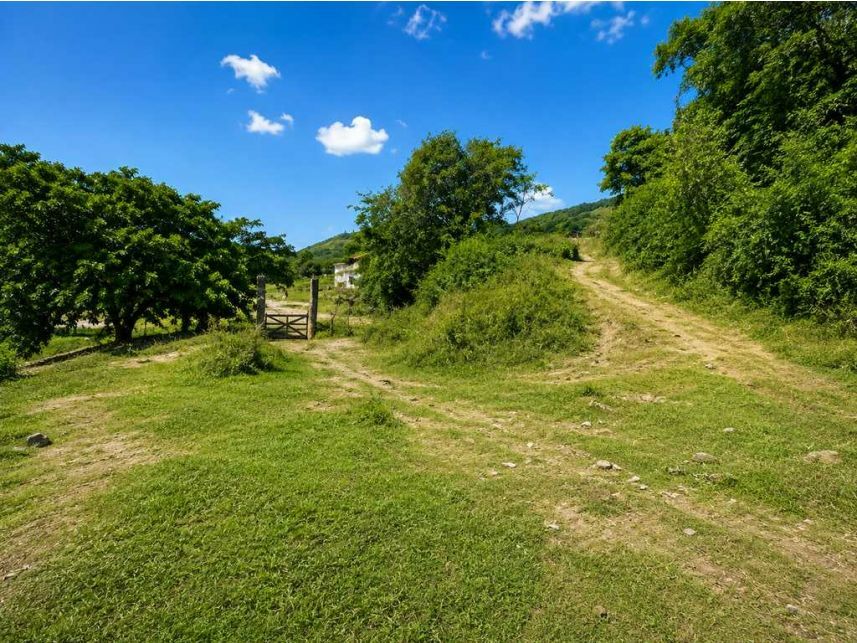 Terreno c/benfeitorias à venda em leilão