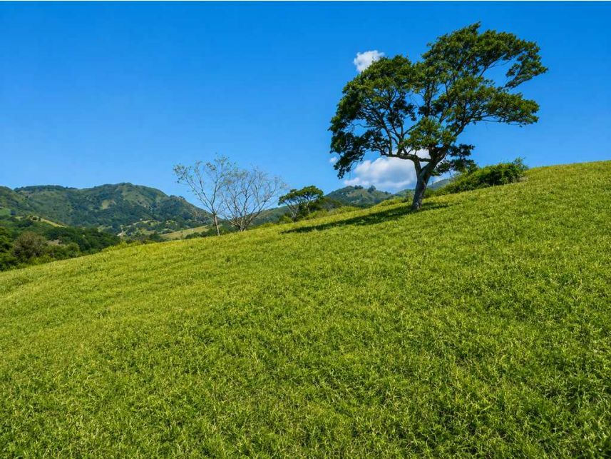 Terreno c/benfeitorias à venda em leilão — foto 2