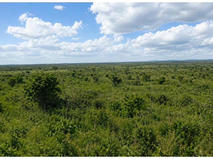 Fazenda à venda em leilão