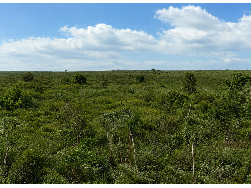 Fazenda à venda em leilão — foto 2
