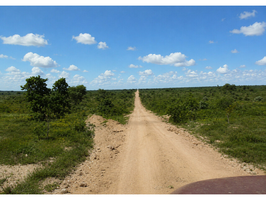 Fazenda à venda em leilão — foto 3
