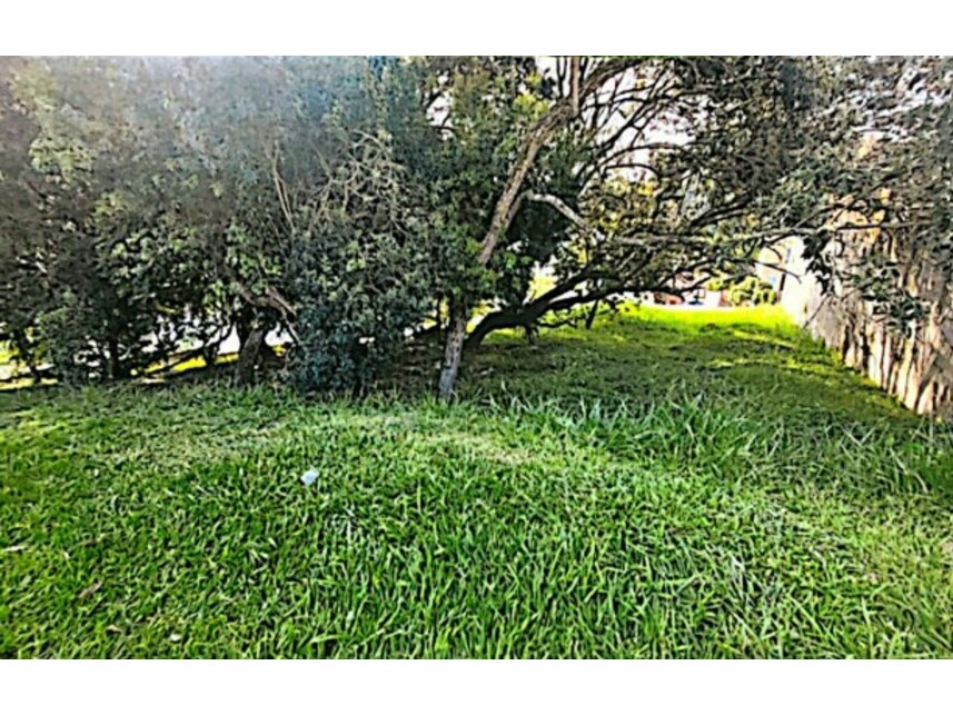Lote à venda em leilão