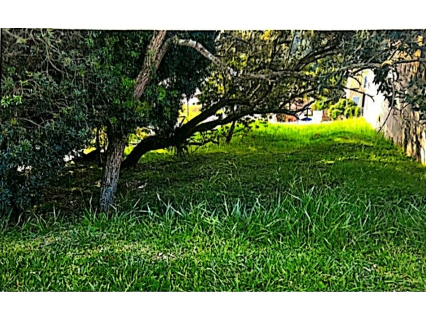 Lote à venda em leilão — foto 3