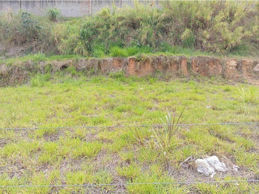 Terreno à venda em leilão — foto 4