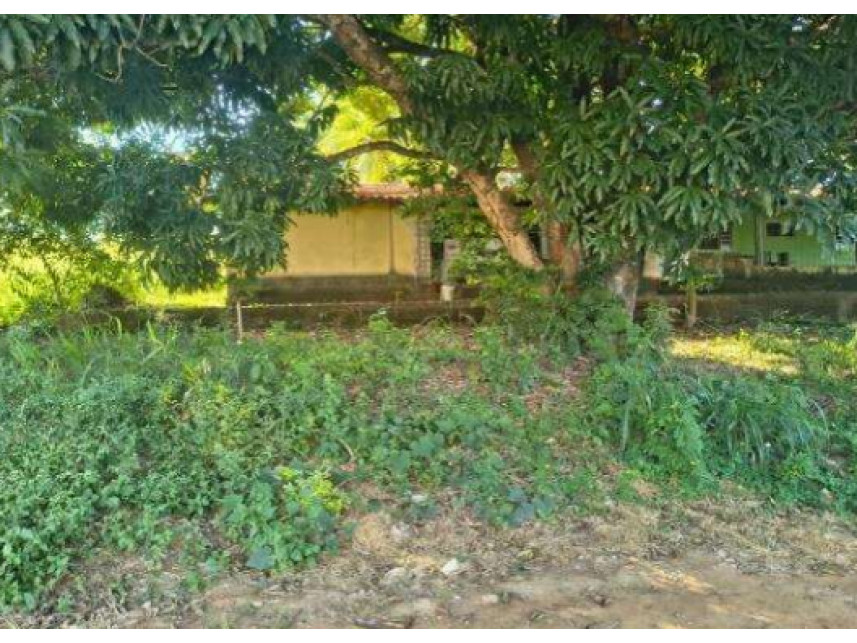 Outros à venda em leilão — foto 2