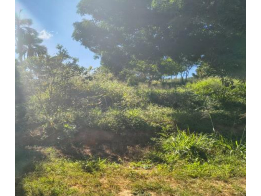 Outros à venda em leilão — foto 4