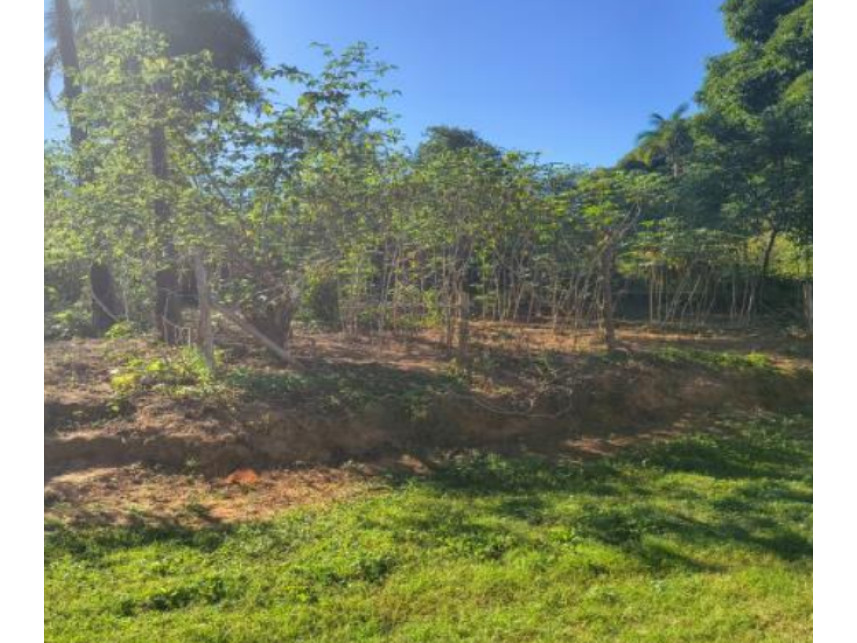Outros à venda em leilão — foto 5