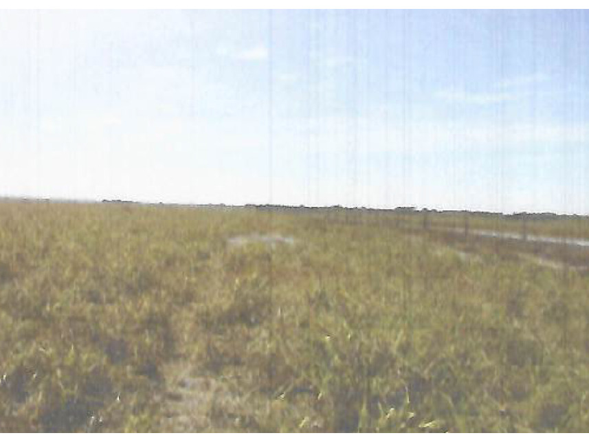 Fazenda à venda em leilão — foto 3