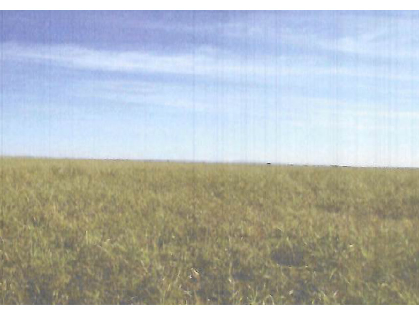 Fazenda à venda em leilão — foto 4