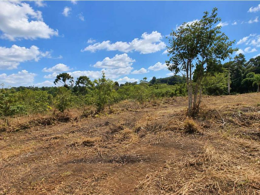 Terreno à venda em leilão
