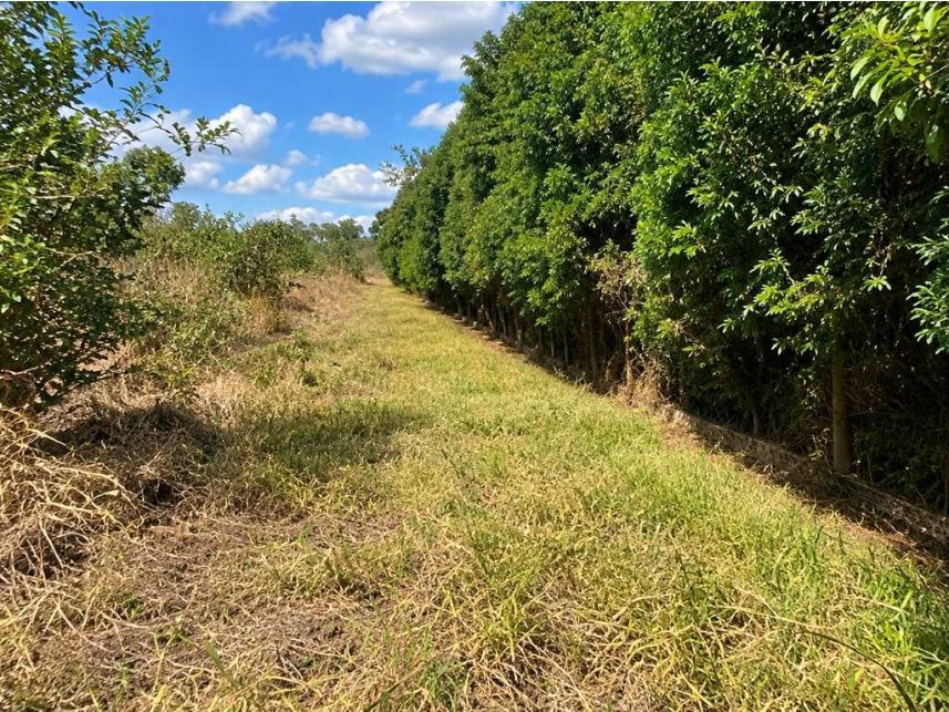 Terreno à venda em leilão — foto 3