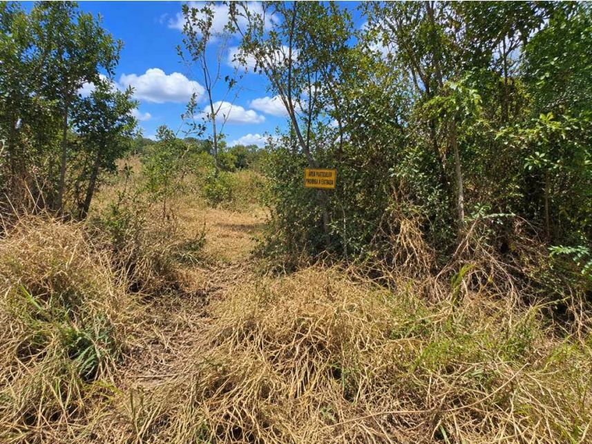 Terreno à venda em leilão — foto 4