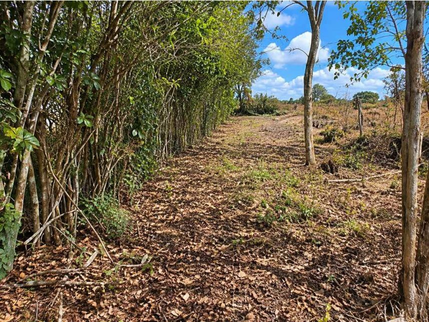 Terreno à venda em leilão — foto 5