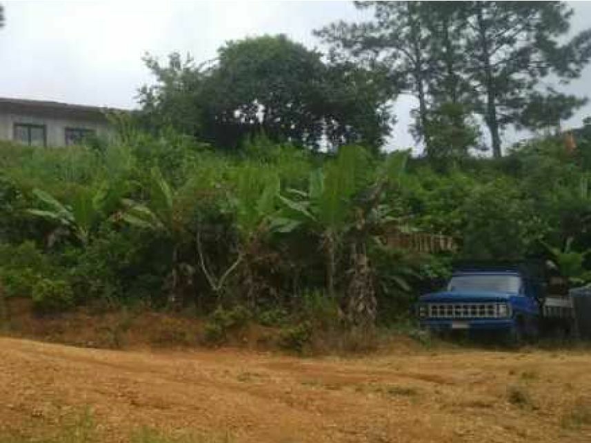 Terreno c/benfeitorias à venda em leilão