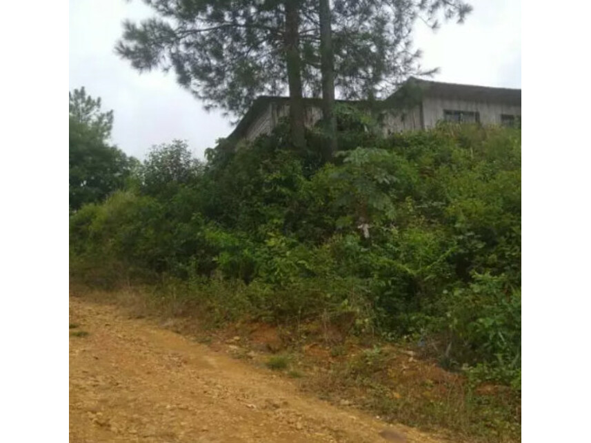 Terreno c/benfeitorias à venda em leilão — foto 3