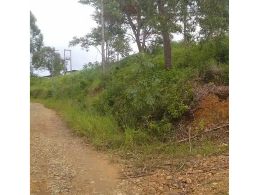 Terreno c/benfeitorias à venda em leilão — foto 4