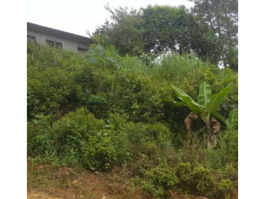 Terreno c/benfeitorias à venda em leilão — foto 5