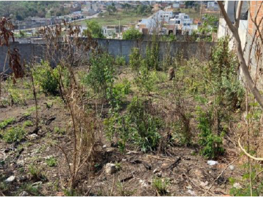 Terreno à venda em leilão