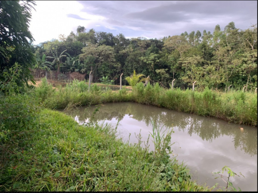 Fazenda à venda em leilão — foto 2