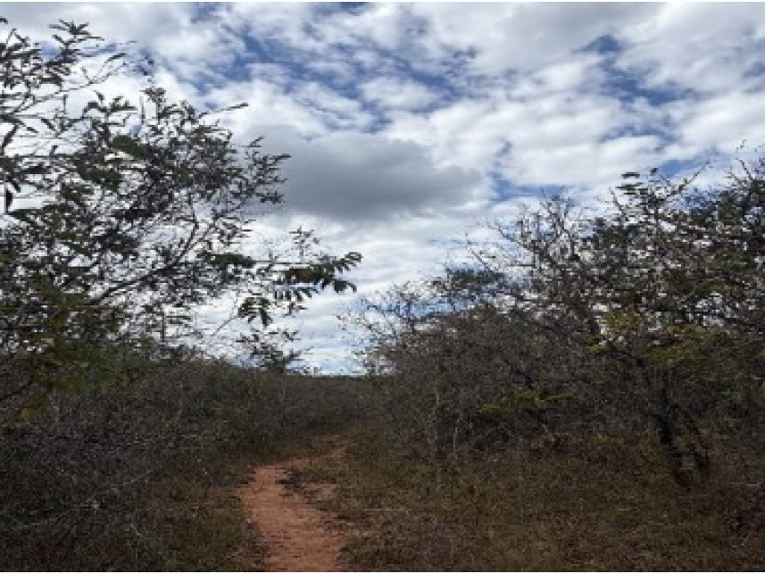 Área Rural à venda em leilão — foto 2