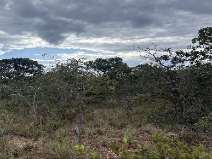 Área Rural à venda em leilão — foto 3