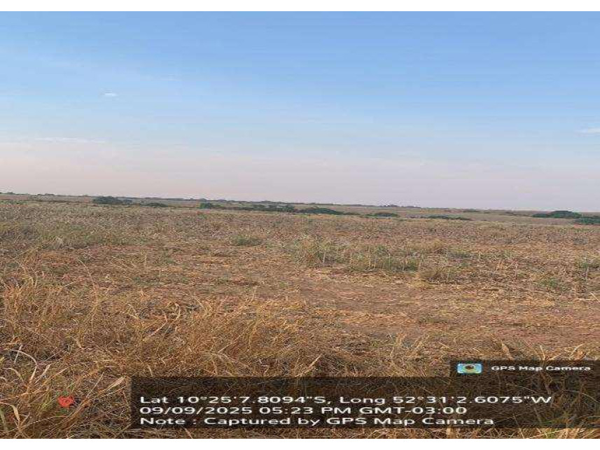 Fazenda à venda em leilão