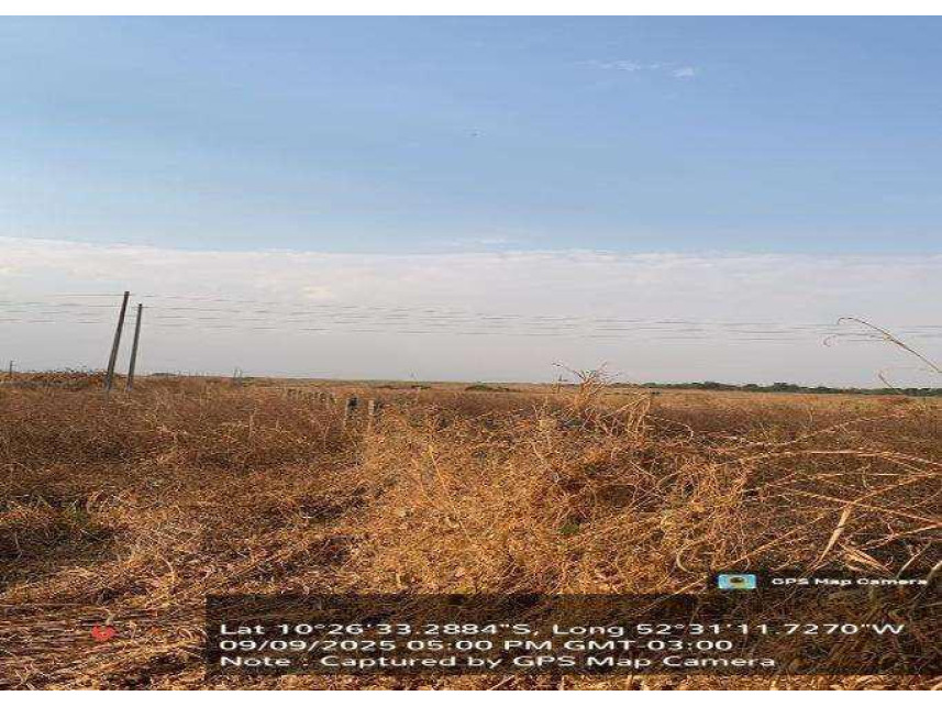 Fazenda à venda em leilão — foto 2