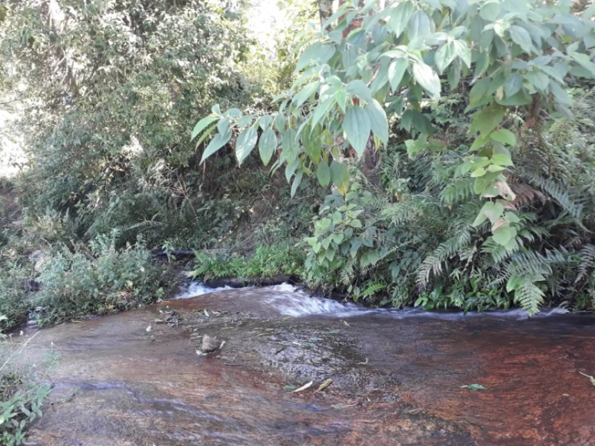 Fazenda à venda em leilão — foto 2