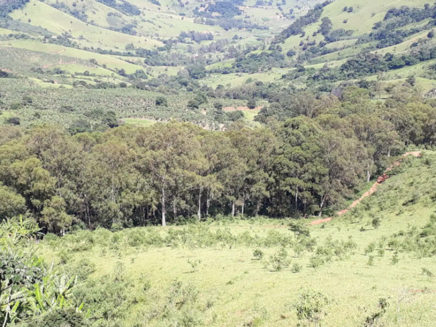 Fazenda à venda em leilão — foto 5