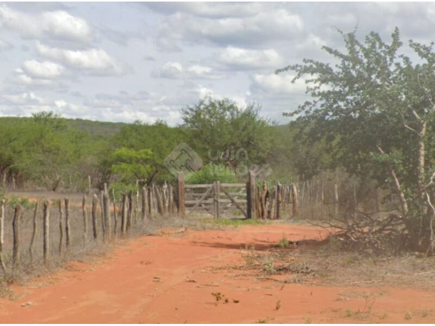 Área Rural à venda em leilão — foto 3