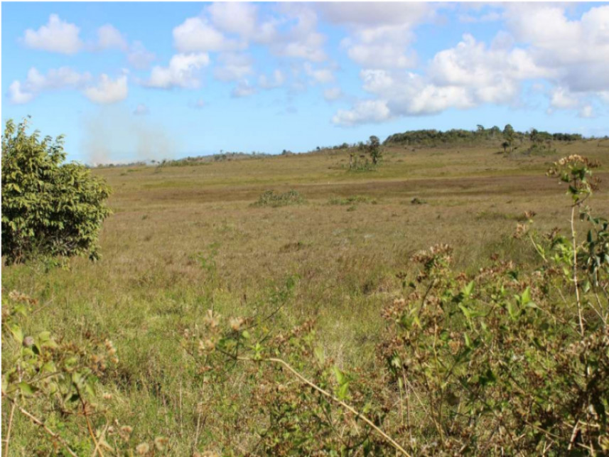 Fazenda à venda em leilão — foto 2