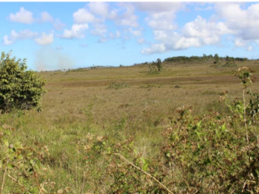 Fazenda à venda em leilão — foto 3