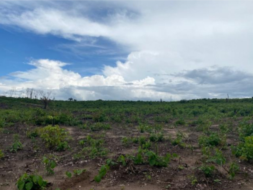 Fazenda à venda em leilão — foto 3