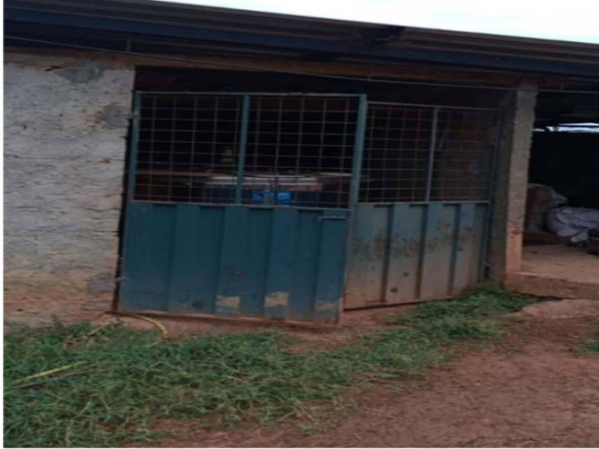Fazenda à venda em leilão — foto 2