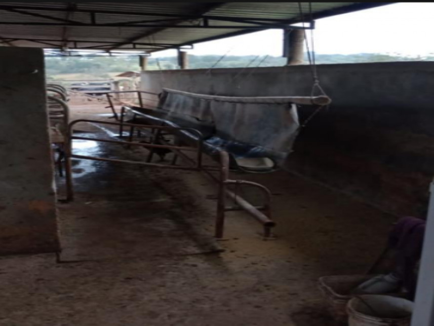 Fazenda à venda em leilão — foto 3